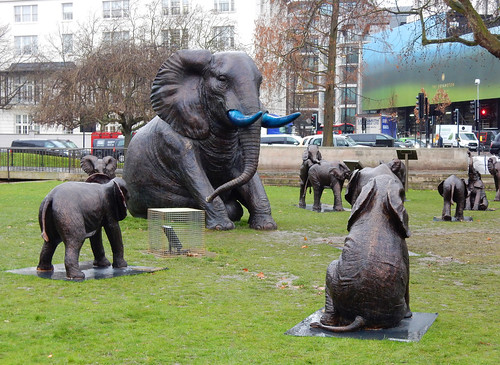 Elephant sculptures at Marble Arch, London