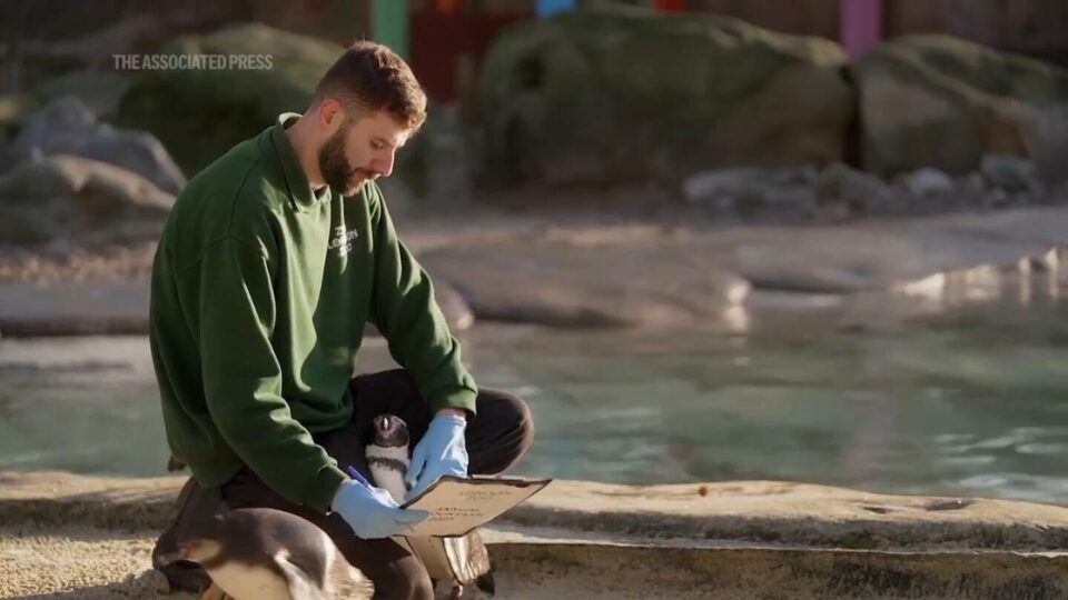 London Zoo begins week-long annual stocktake counting over 10,000 animals